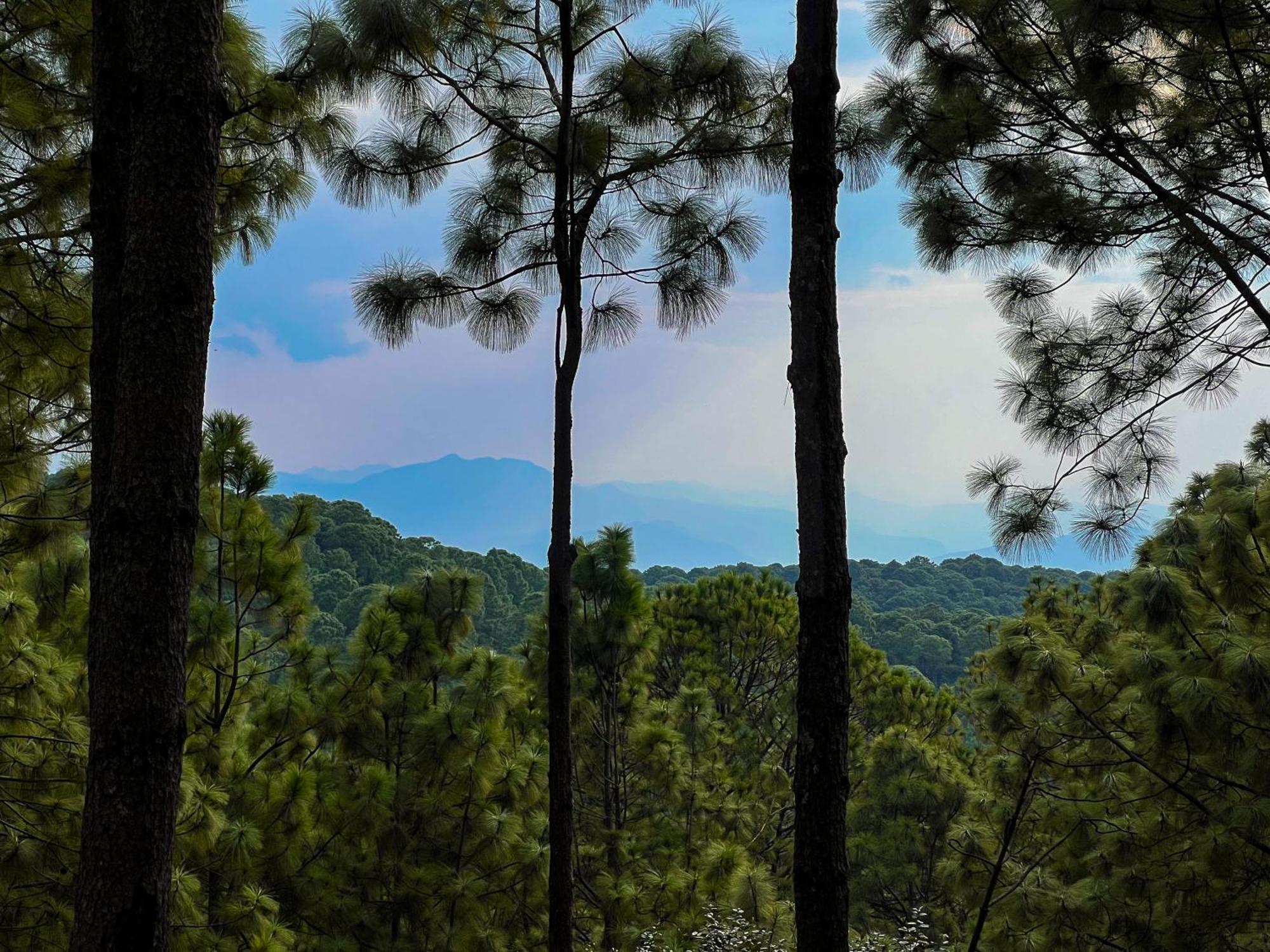 Tres Lunas Domo Мазамитла Экстерьер фото